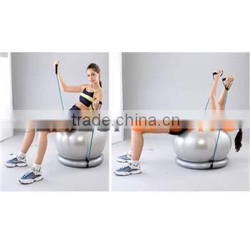 gym ball with base and expander