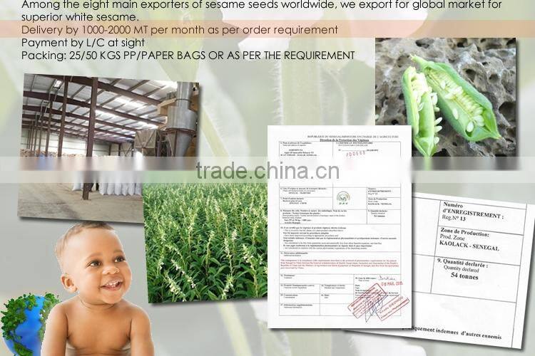 Maiduguri Nigeria white african sesame seed FOB CIF CFR CIP world-wide sales