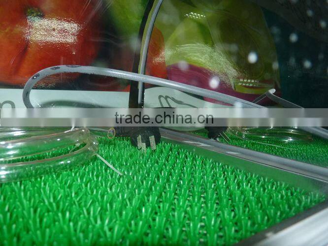 Sushi display cooler table top sushi showcase