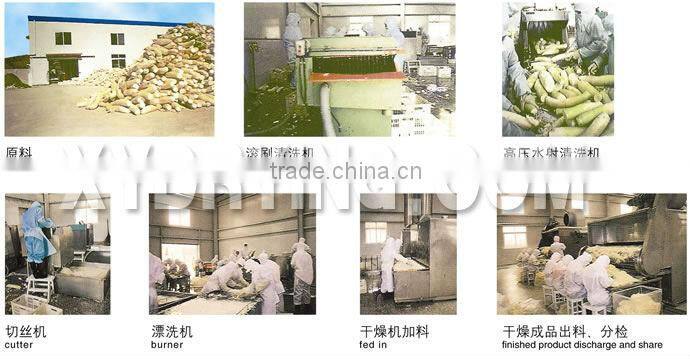 Food Processing Machinery