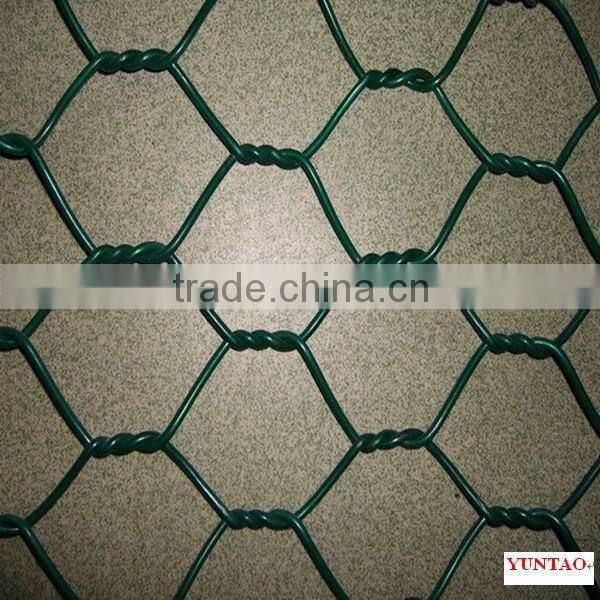 Lowest chicken wire mesh roll ISO factory supply