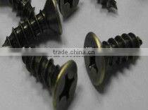 Square robertson head wood screws