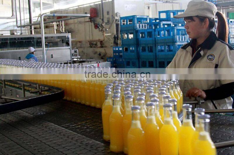 Professional bottled juice manufacturing equipment with high quality