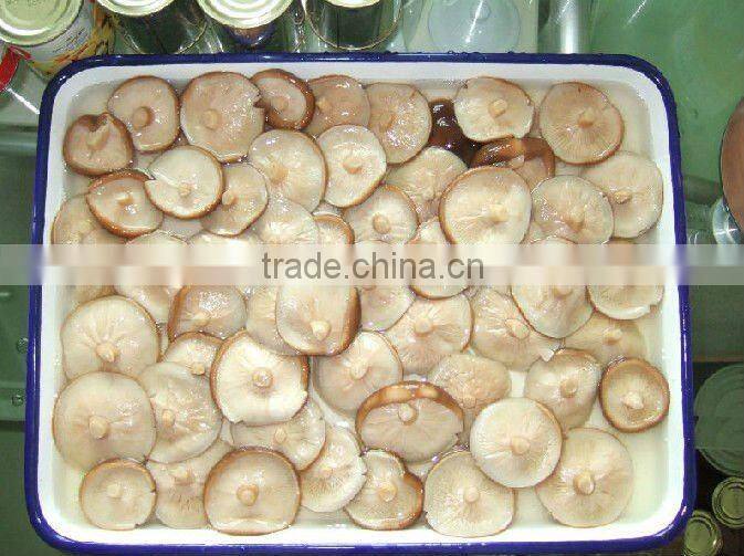 canned mushroom