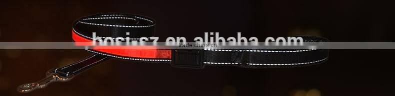 New Promotion Solar charging dog leash USB rechargeable LED lead