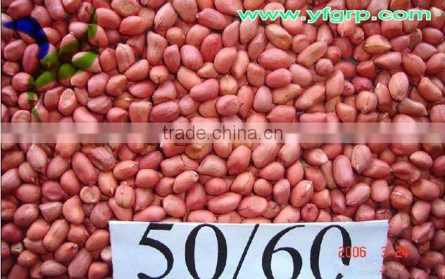 groundnut blanched peanuts from chinese plant