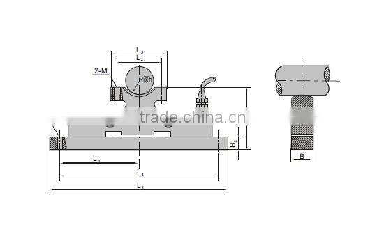 CS-2 TYPE LOAD CELL Sensors load sensor used for transforming the hoist into pendent weigher.