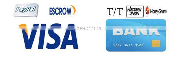 Grinding well stainless steel salt crusher machine food pulverizer