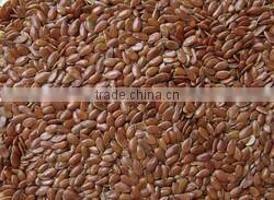 lin seed for export