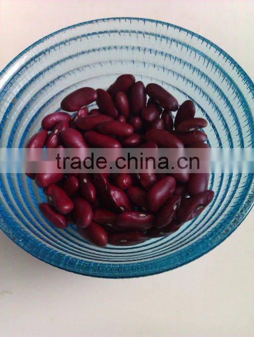 2010 Crop Red Kidney Bean( British type, heilongjiang origin.hps)