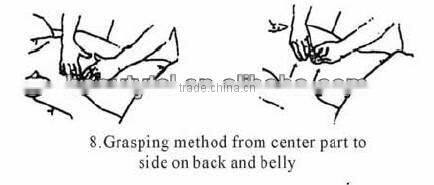 Presoterapia equipo de la belleza