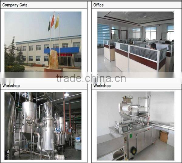 Herbal Medicine Gynostemma Pentaphyllum Extract