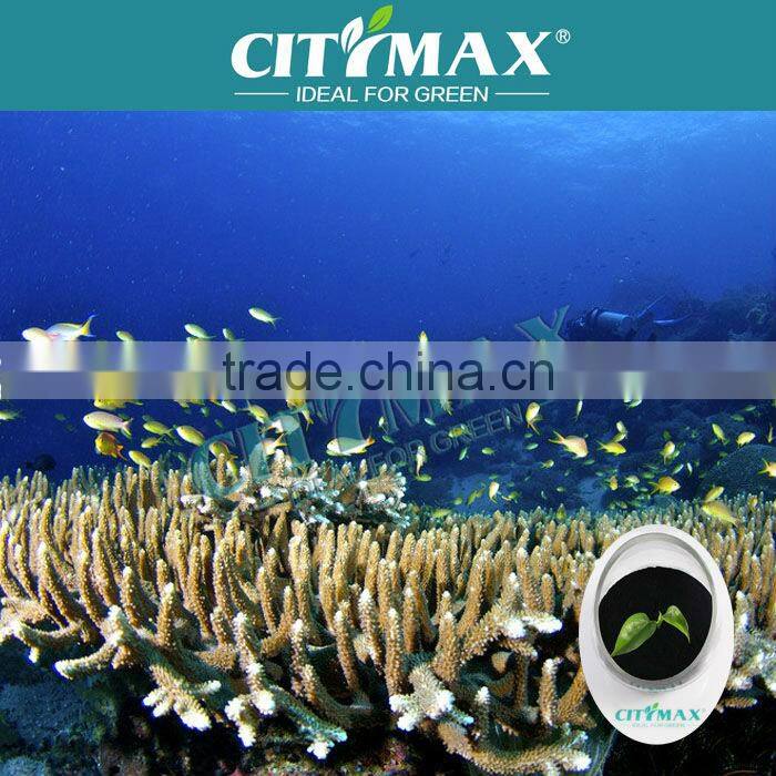 Seaweed Extract Bio fertilizer Plant