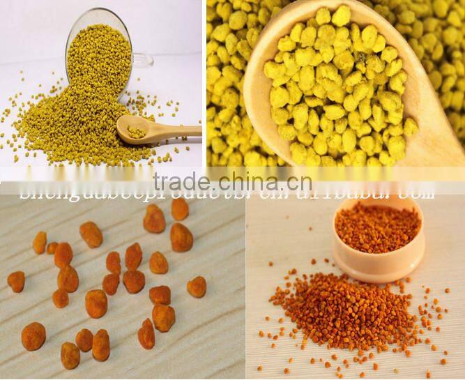 new fresh sweet bee pollen feed for bees