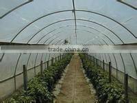 Greenhouse poly film