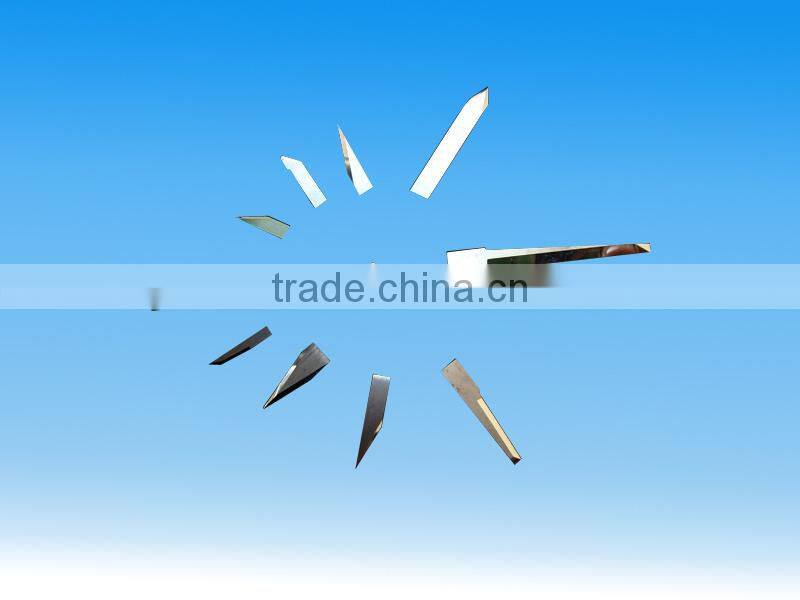 Tungsten Carbide Special Shaped Blade for Cutting Food