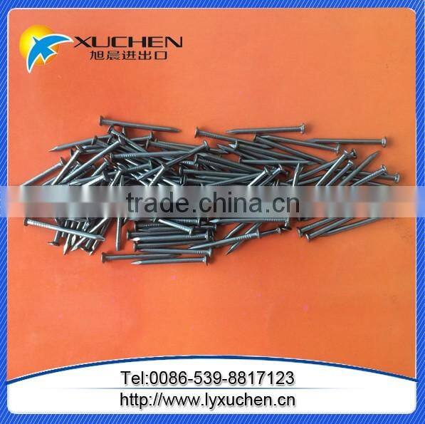 Galvanized common nail/common iron nail factory manufacturer in China