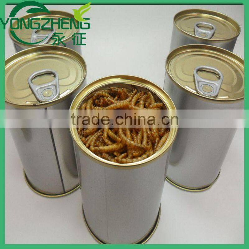Best selling Dried Mealworm For Wild Bird