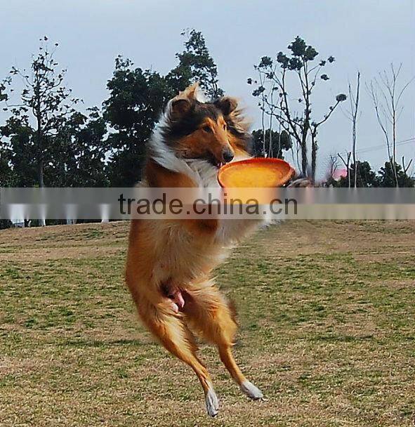 9 inch professional frisbee