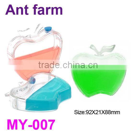 Colorful Plastic Ant Farm Toys