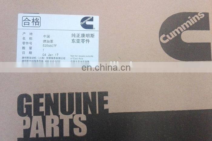 caseih engine fuel pump 3975701 / 4988593