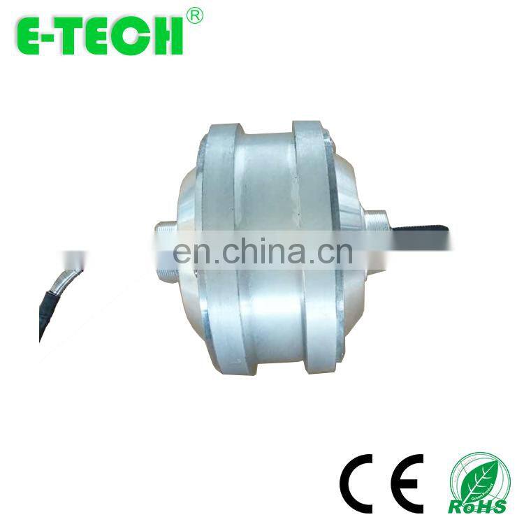8 Inch Low Speed Brushless Geared Hub Motor 6-8 KM