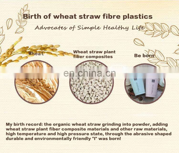 Custom Logo New Environmentally Friendly Materials Biodegradable Water Bottle