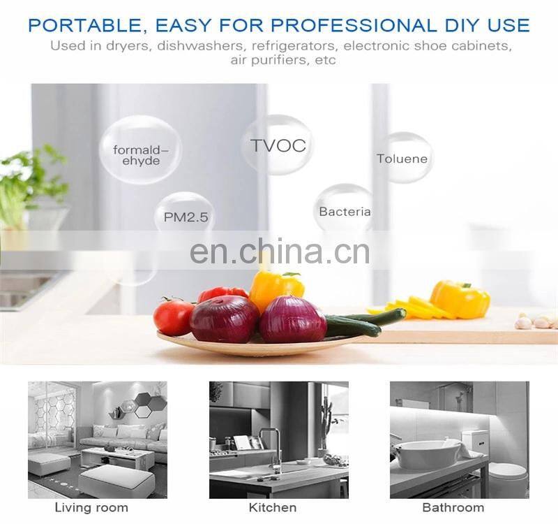 Portable Ionized Air Purifier 10g 12V Car Air Purifier Electronic air purifier industrial ozone generator