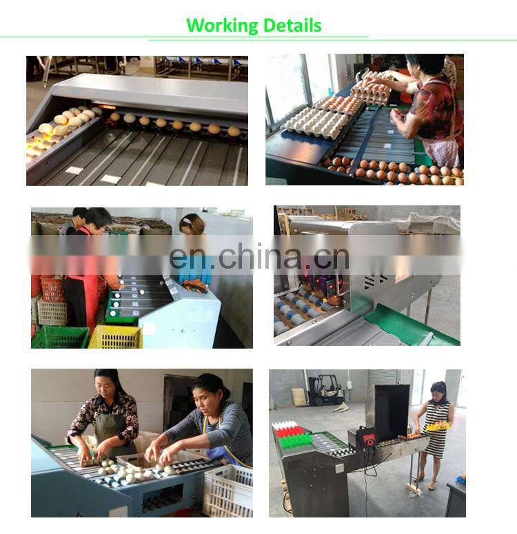 Grande Best Selling High Efficiency Automatic Egg Electric Sorting Machine