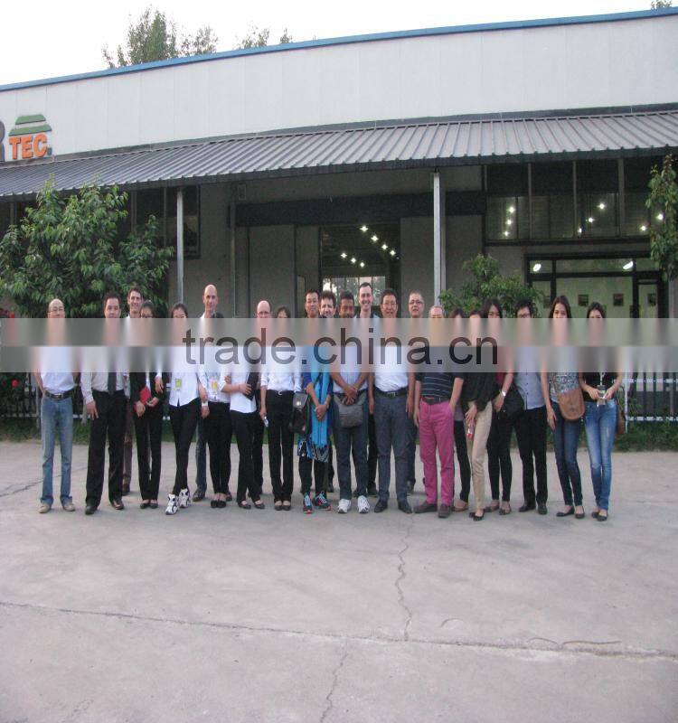 China supply best quality straight-line glass beveling machine