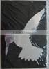 Mirror Plexiglass Acrylic Sheet