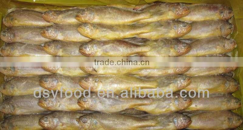 Frozen Small Yellow Croaker