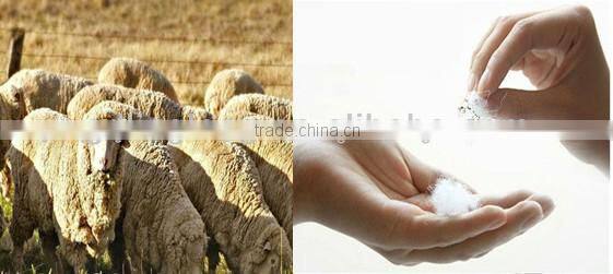 wool felt hats with lace butterfly for kids