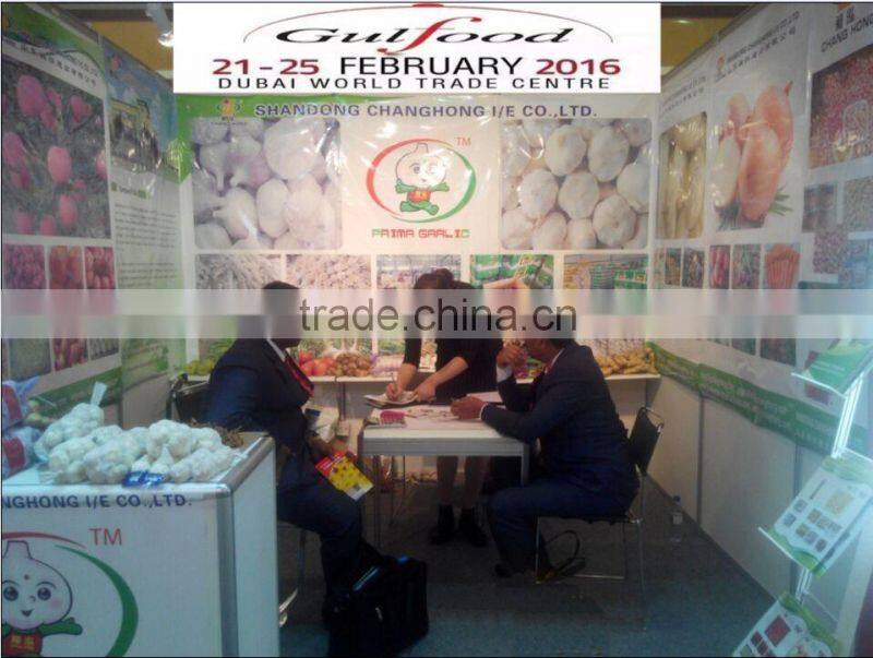 2016 New Crop Fresh Potatoes With Lowest Price