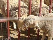 Hydraulic Animal Mineral Salt Block Machine with reasonable price
