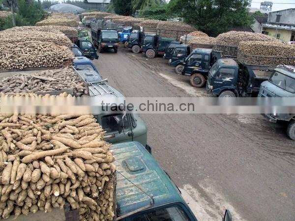 TAPIOCA STARCH WITH CHEAPEST PRICE AND BEST QUALITY