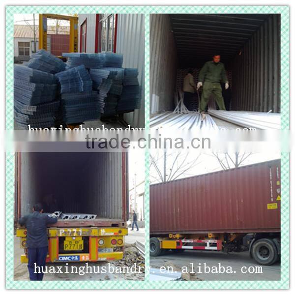 Hot sale of cage of baby chicken/New type broiler chicken cage