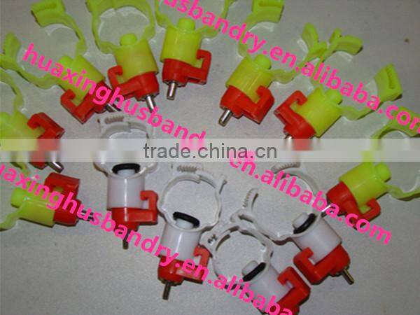 The chicken with a water fountain Chicken water fountain Large chicken with a water fountain