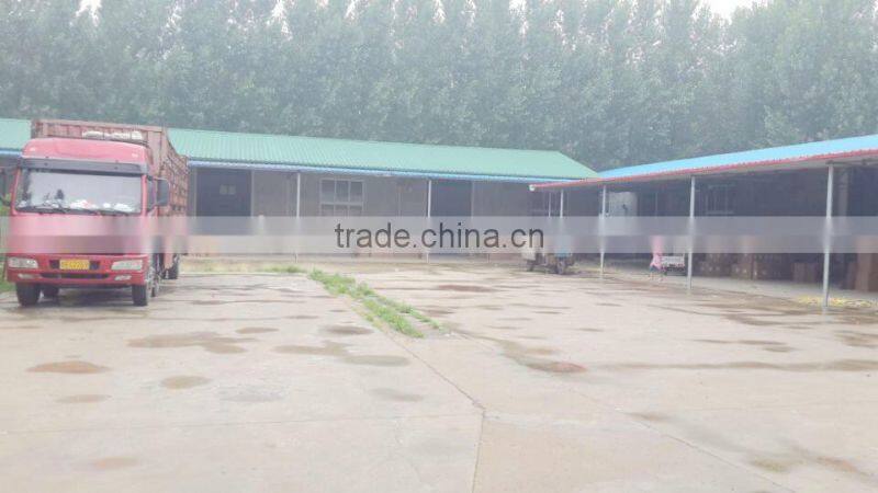 small wooden decorative house craft wooden gift wholesale paulownia