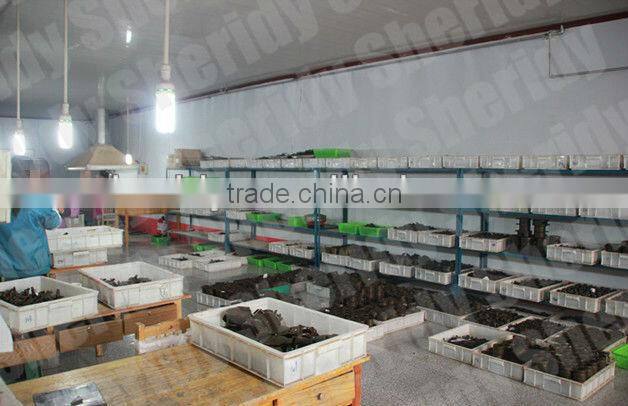 Lifting loops for dog