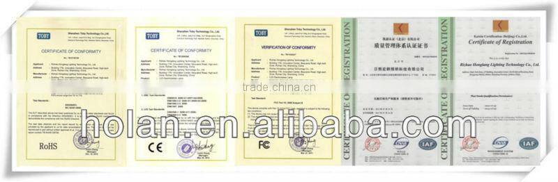 China 80 Watt induction lamp street light