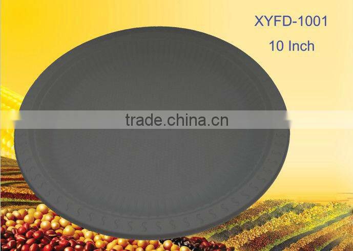 hot sale biodegradable 10 inch disposable dish
