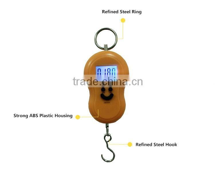 Easy Reading LCD Display Portable Travel Scales