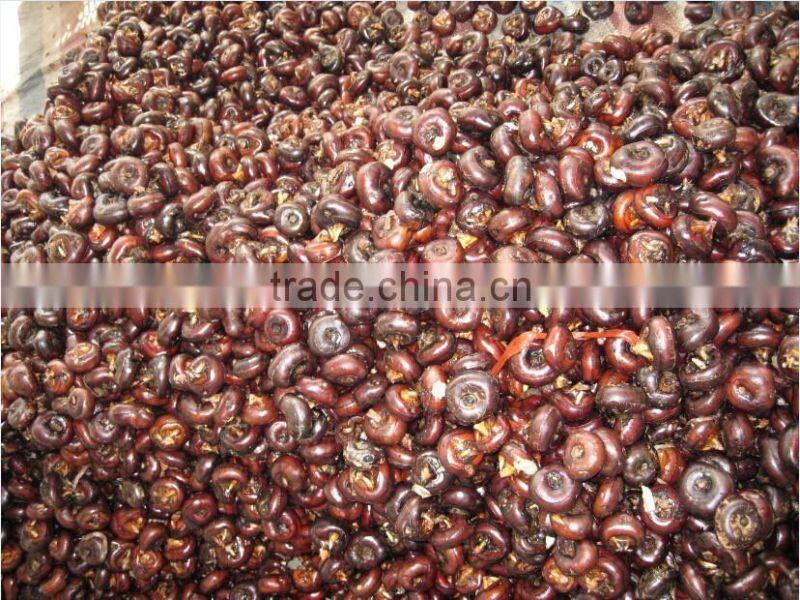 water chestnut/chinese water chestnut