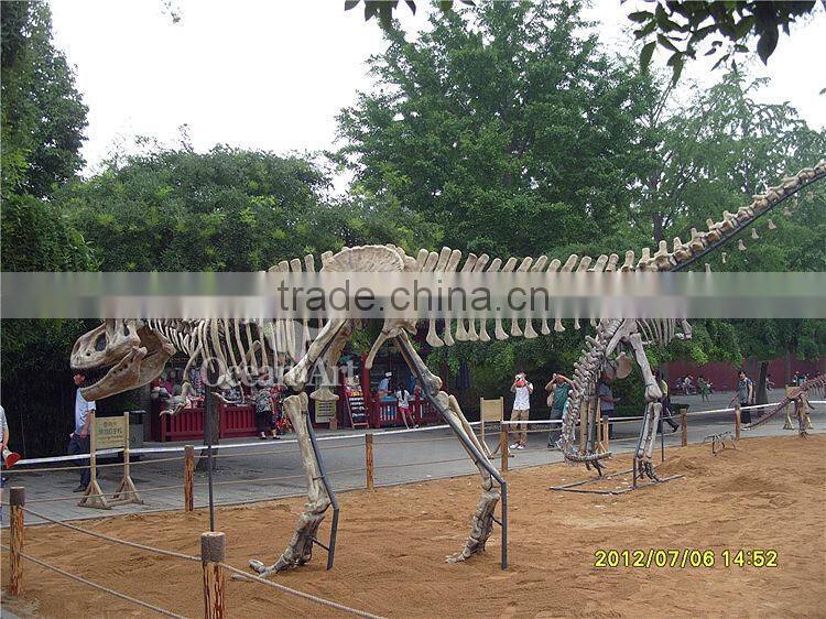 High quality dinosaur t-rex fossil model/Trade assurance