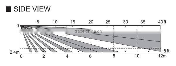 With tamper proof passive infrared motion detector