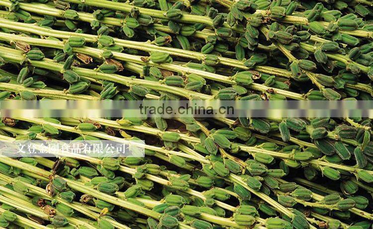 100% pure sesame oil/cooking oil/bulk