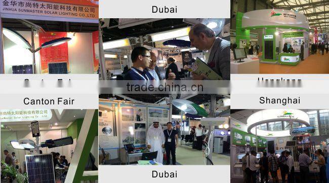 12V/24V Intelligent solar street light with pole