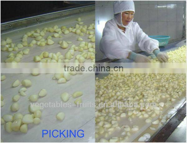 new crop of AD garlic slice with root standard grade regular garlic flakes