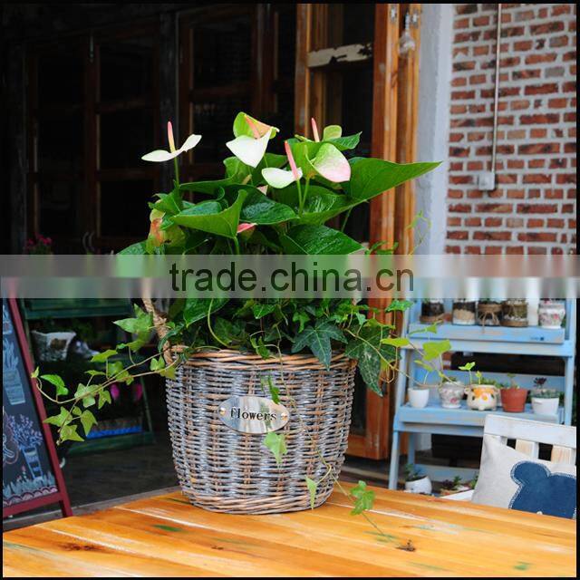 plastic rattan basket basket